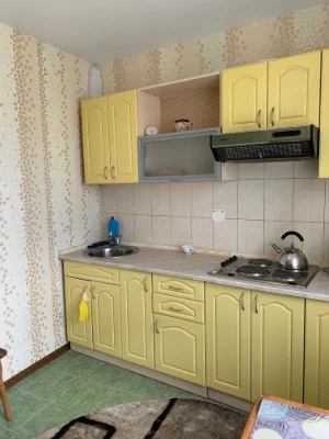 Продам очень срочно 1 комнатную квартиру на Салтовке