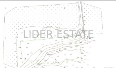 Sale of a 40-Acre Plot in Tutyanova