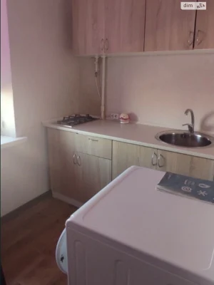 Long-Term Rental Apartment Dniprovsky