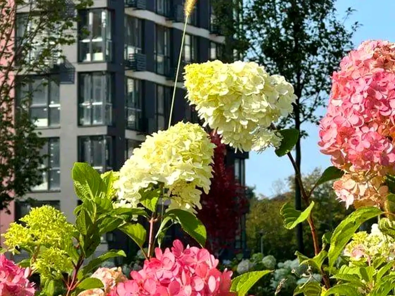 Продаж 3-кімнатної квартири 95 м² на 2 поверсі