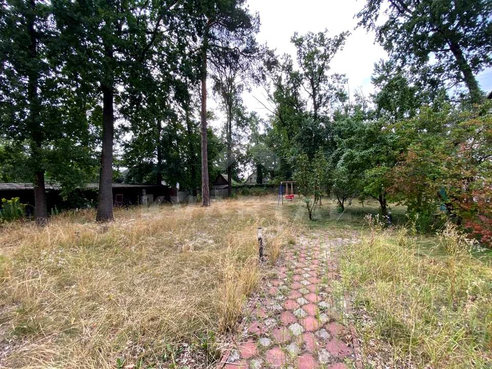 Land. Irpin', Mechnikova st.