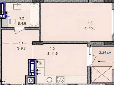 Apartment. Uzhgorod, Kapushanska st.