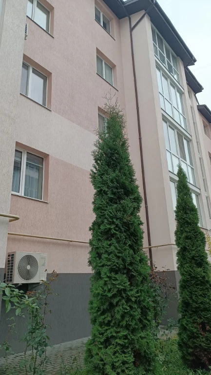 Sale of a one-bedroom apartment in a new building