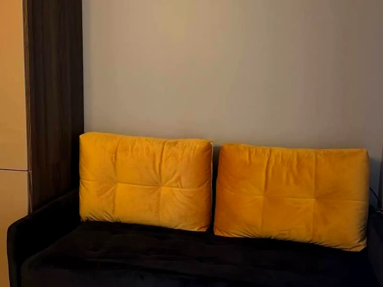 Rent 1-bedroom apartment 45.1 m² on 2nd floor
