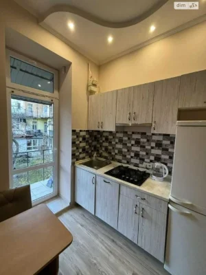 Long-Term Rental Apartment, Lychakiv