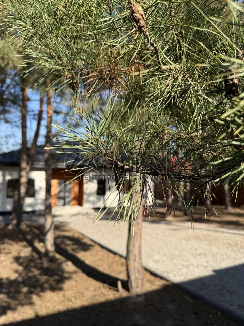 Будинок 3 кімнати, 127 м², Бориспіль, новобудова з паркінгом