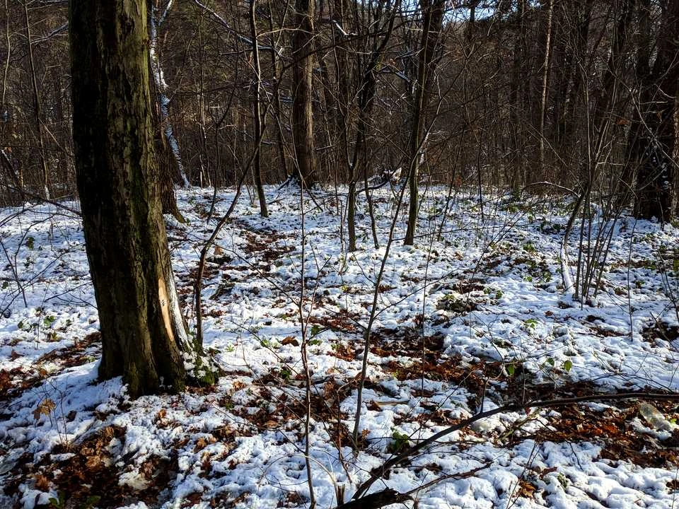 Ділянка. Львів, Замарстинівська вул.