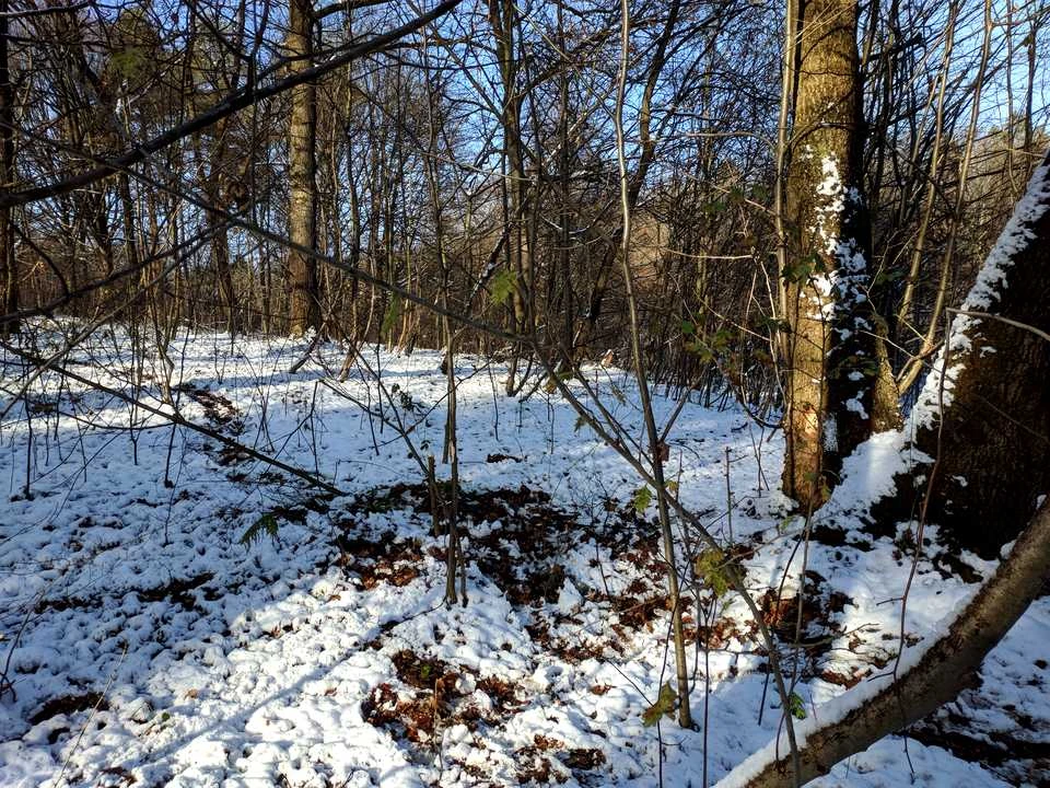 Ділянка. Львів, Замарстинівська вул.