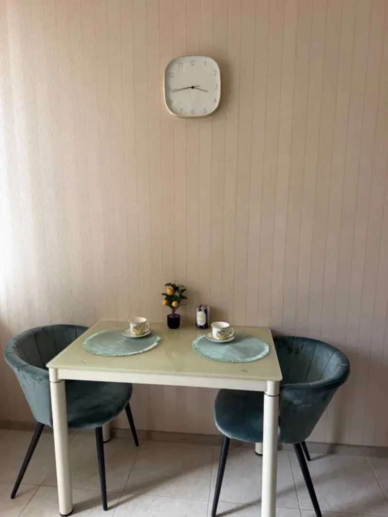 1-room apartment! 17 Zemyuchyna! Ostashkina! Center!