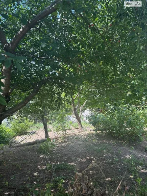 Sale of House in Dubovo