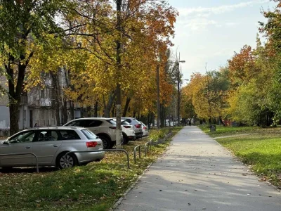 Квартира. Харьков, Александра Олеся улица