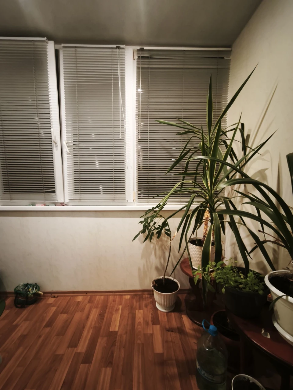 For Sale: 3-room apartment in Hayok