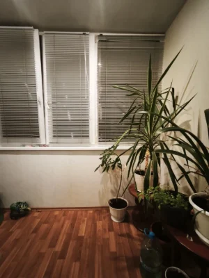 For Sale: 3-room apartment in Hayok