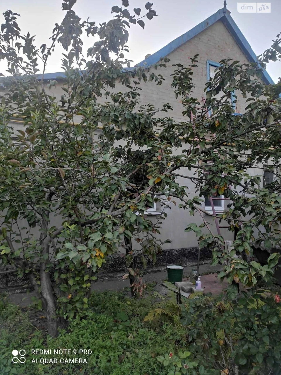 Продаж Дім Південний
