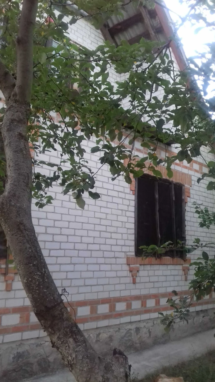 Продам будинок в м Хорол