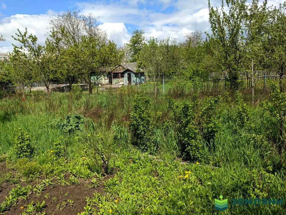 Ділянка. Івано-Франківськ