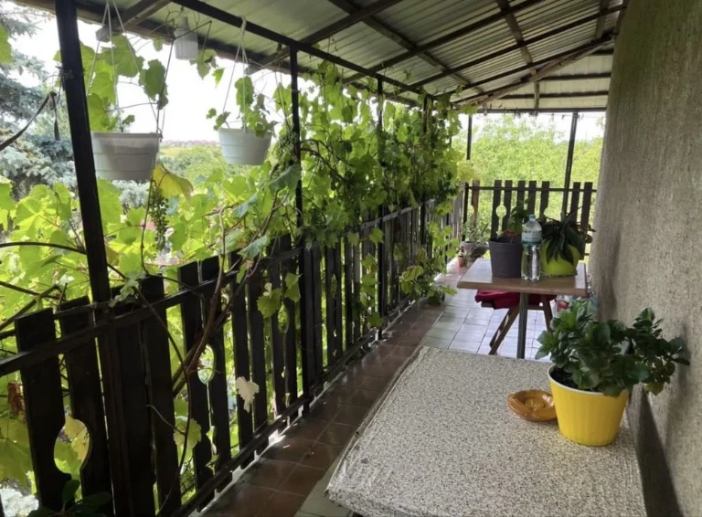 Sale of a 3-room apartment with a private courtyard