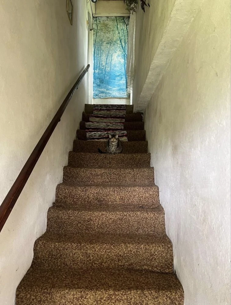 Sale of a 3-room apartment with a private courtyard