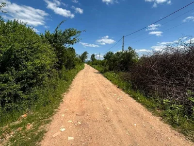 Ділянка. Ужгород