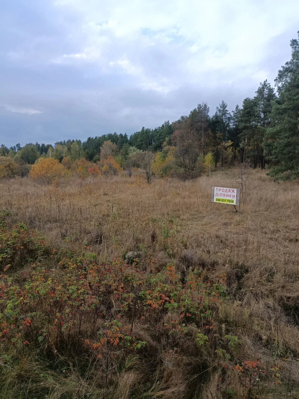Sell land plot