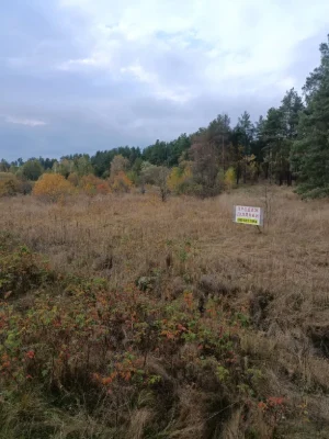 Sell land plot