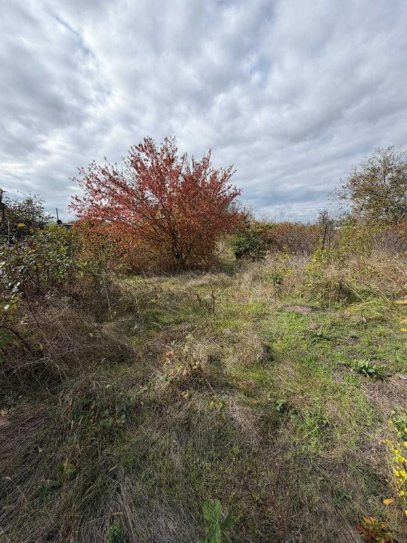 Land for Sale in Veteran СТ