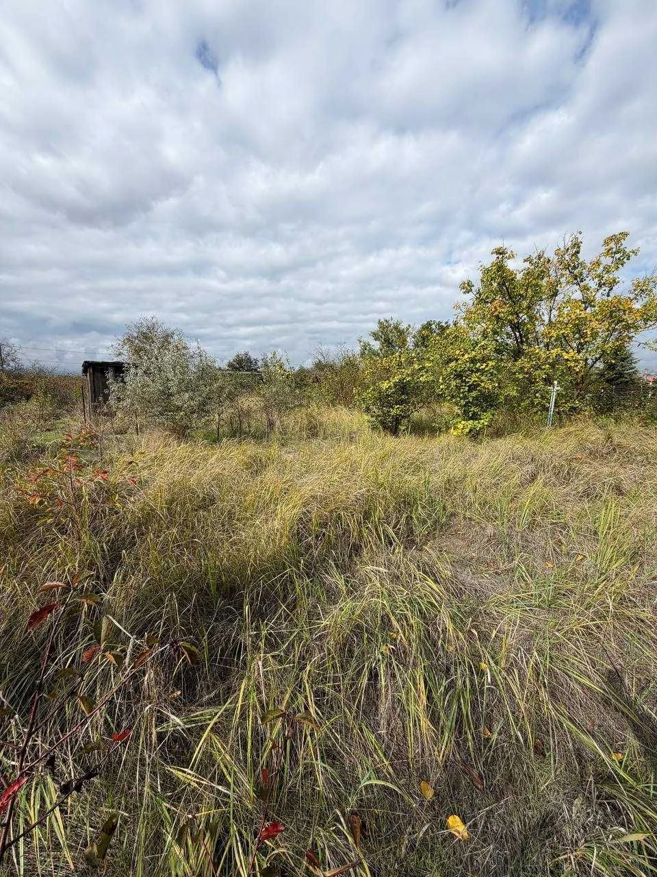 Land for Sale in Veteran СТ