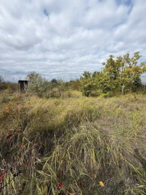 Land for Sale in Veteran СТ