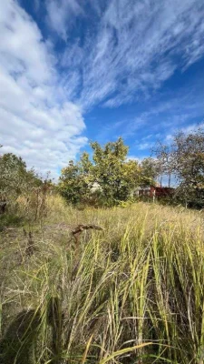 Land for Sale in Veteran СТ