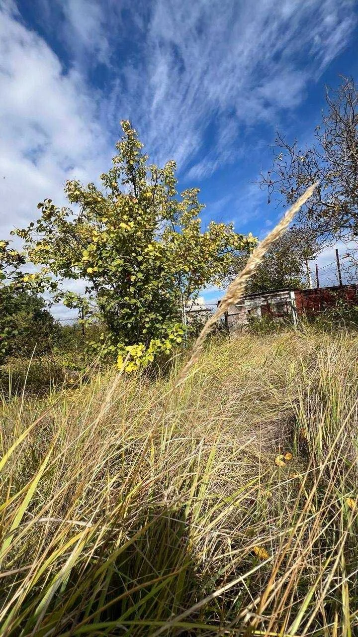 Land for Sale in Veteran СТ