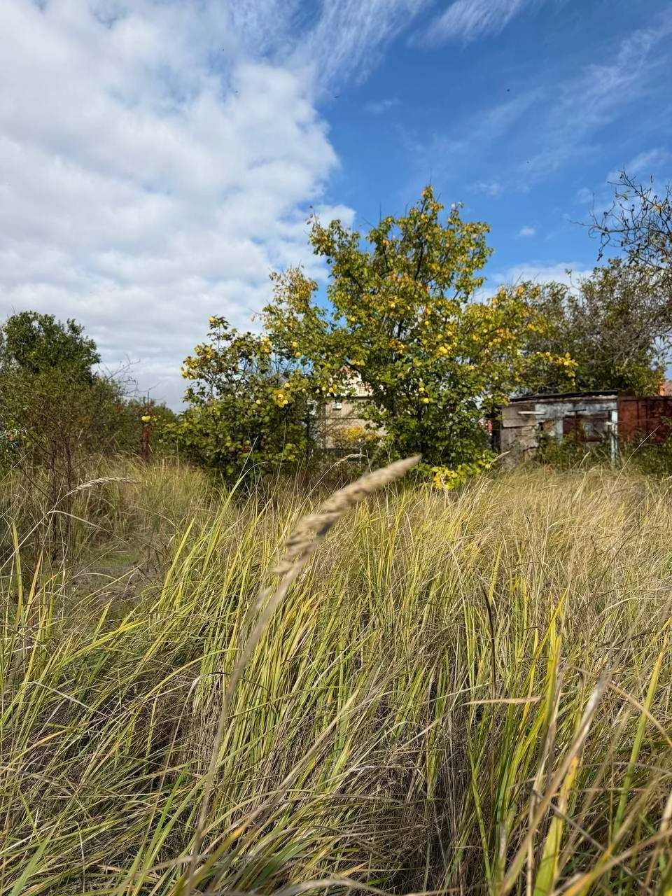 Land for Sale in Veteran СТ