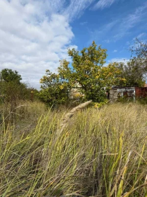 Land for Sale in Veteran СТ