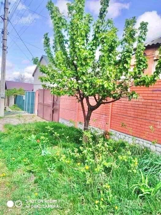For Sale: Excellent House in Dry Nemyshl. All Utilities,