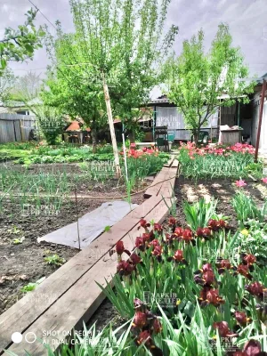 For Sale: Excellent House in Dry Nemyshl. All Utilities,