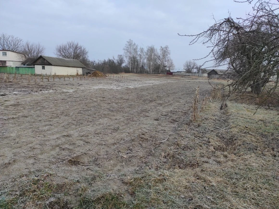 Продам будинок в селі Селище
