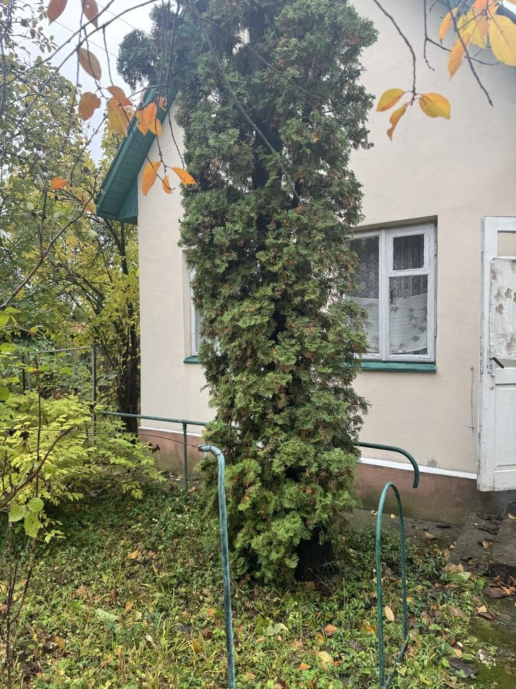 For sale, cottage in Chernivtsi, Spaska Street