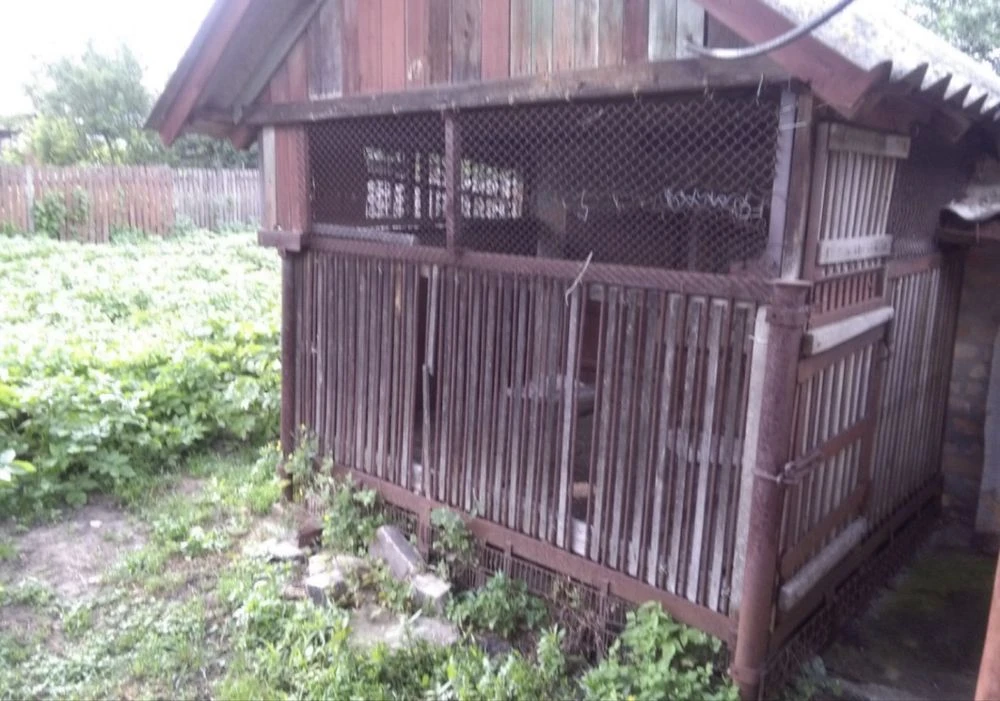Certificate !!Kam'yanka, Черкаas'ka Oblast, House, 3 rooms + summer kitchen