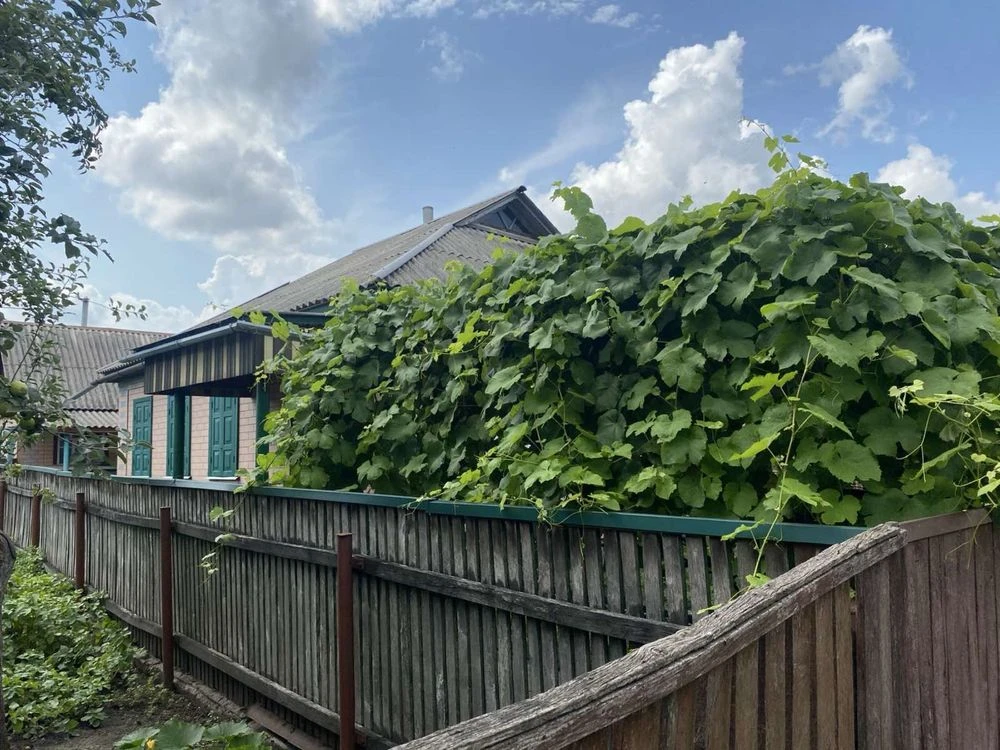 Certificate !!Kam'yanka, Черкаas'ka Oblast, House, 3 rooms + summer kitchen