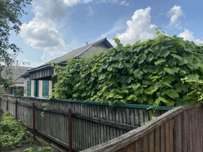 Certificate !!Kam'yanka, Черкаas'ka Oblast, House, 3 rooms + summer kitchen