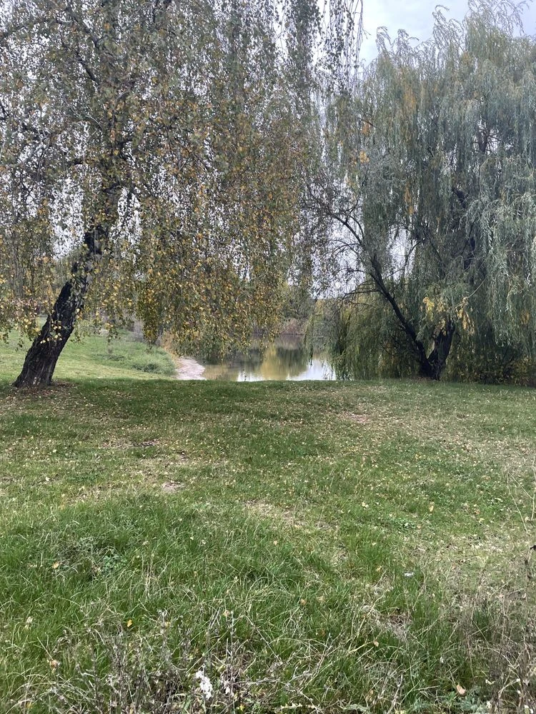 Sale of land plot near Baronskyi Lake