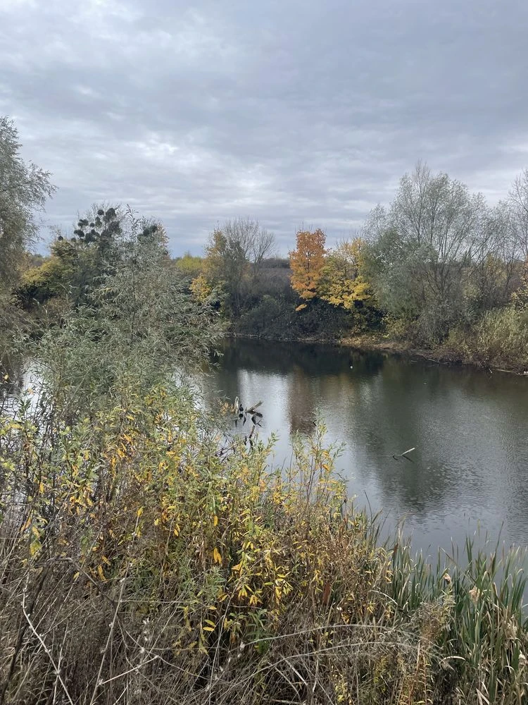 Sale of land plot near Baronskyi Lake