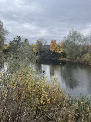 Sale of land plot near Baronskyi Lake