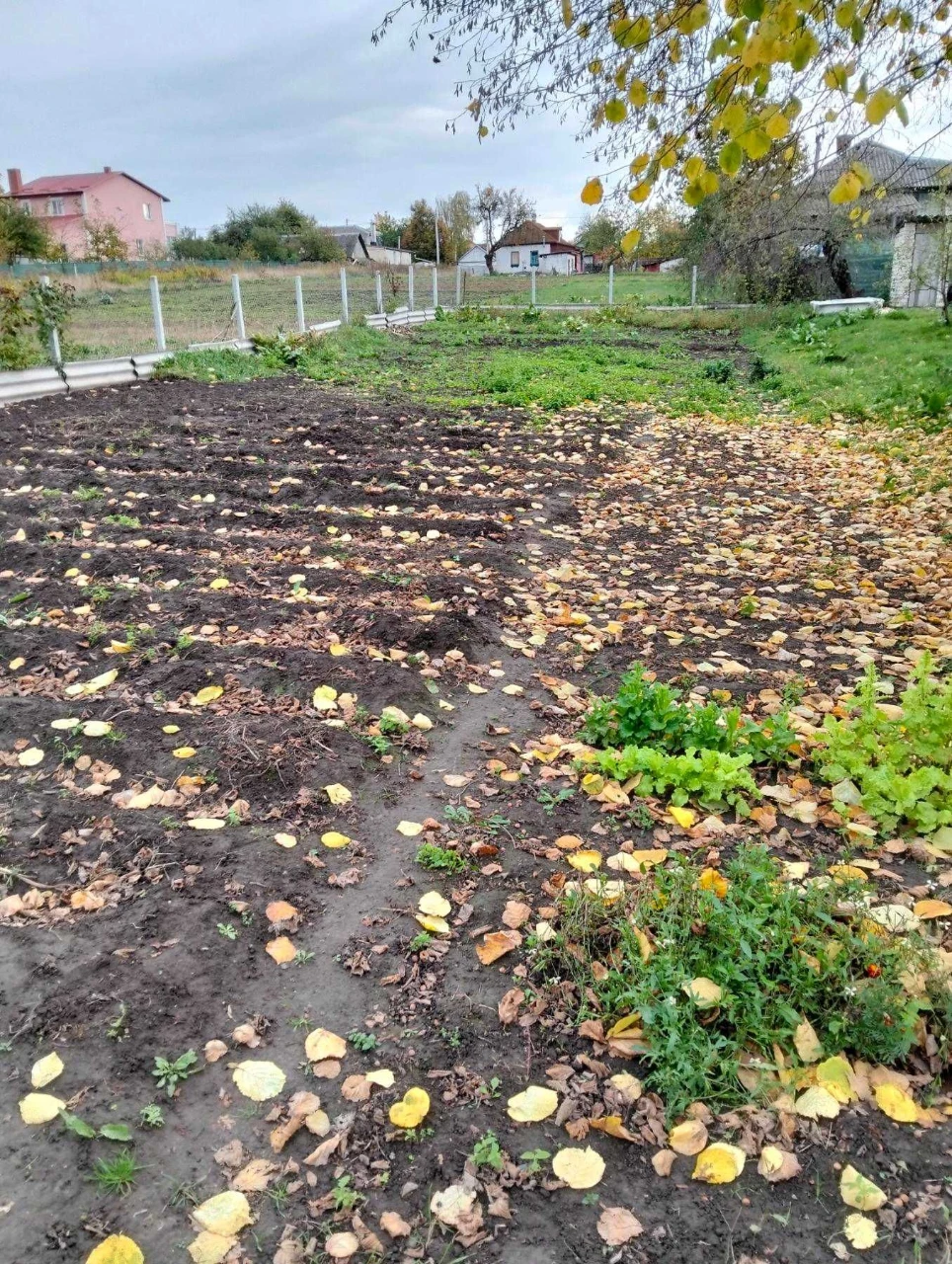 Продается дом, 2 половины, 150 м², район Певцы
