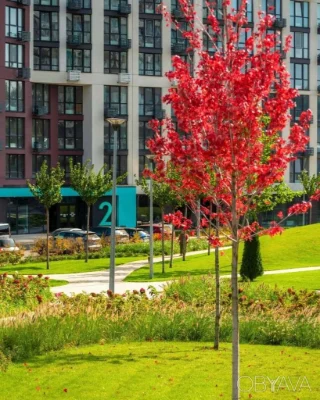 3-комнатная квартира, 96.00 кв.м