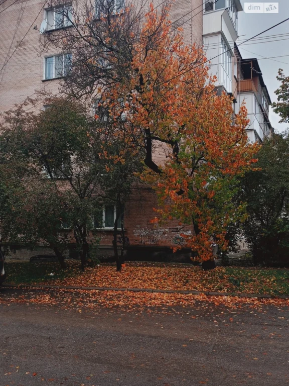 Apartment for Sale: Center