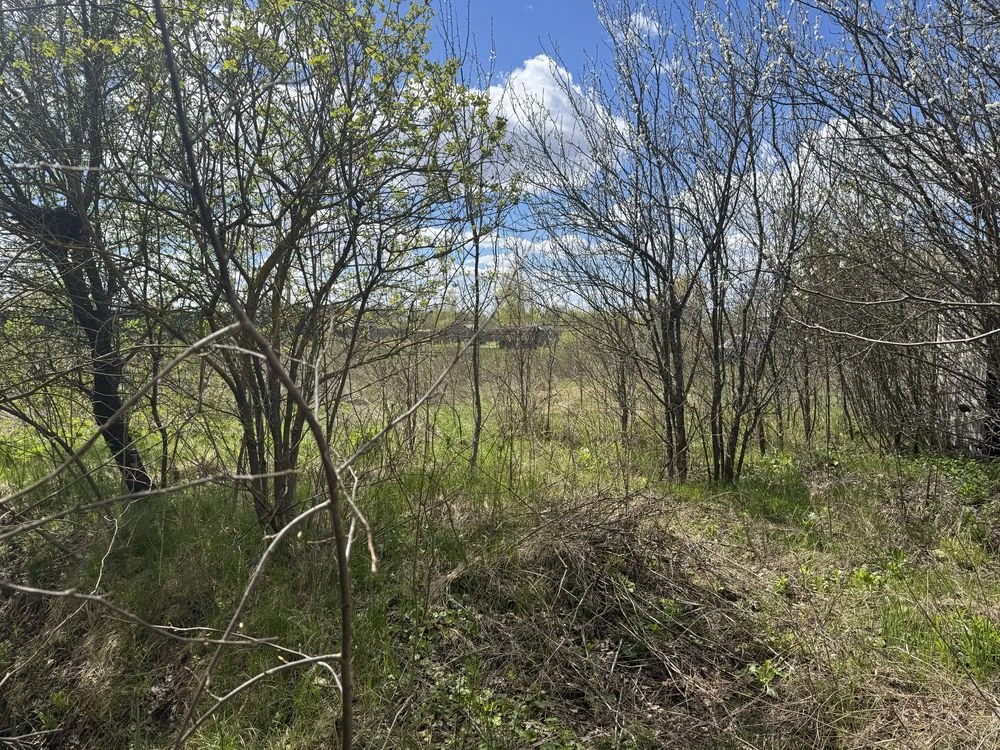 Land for sale