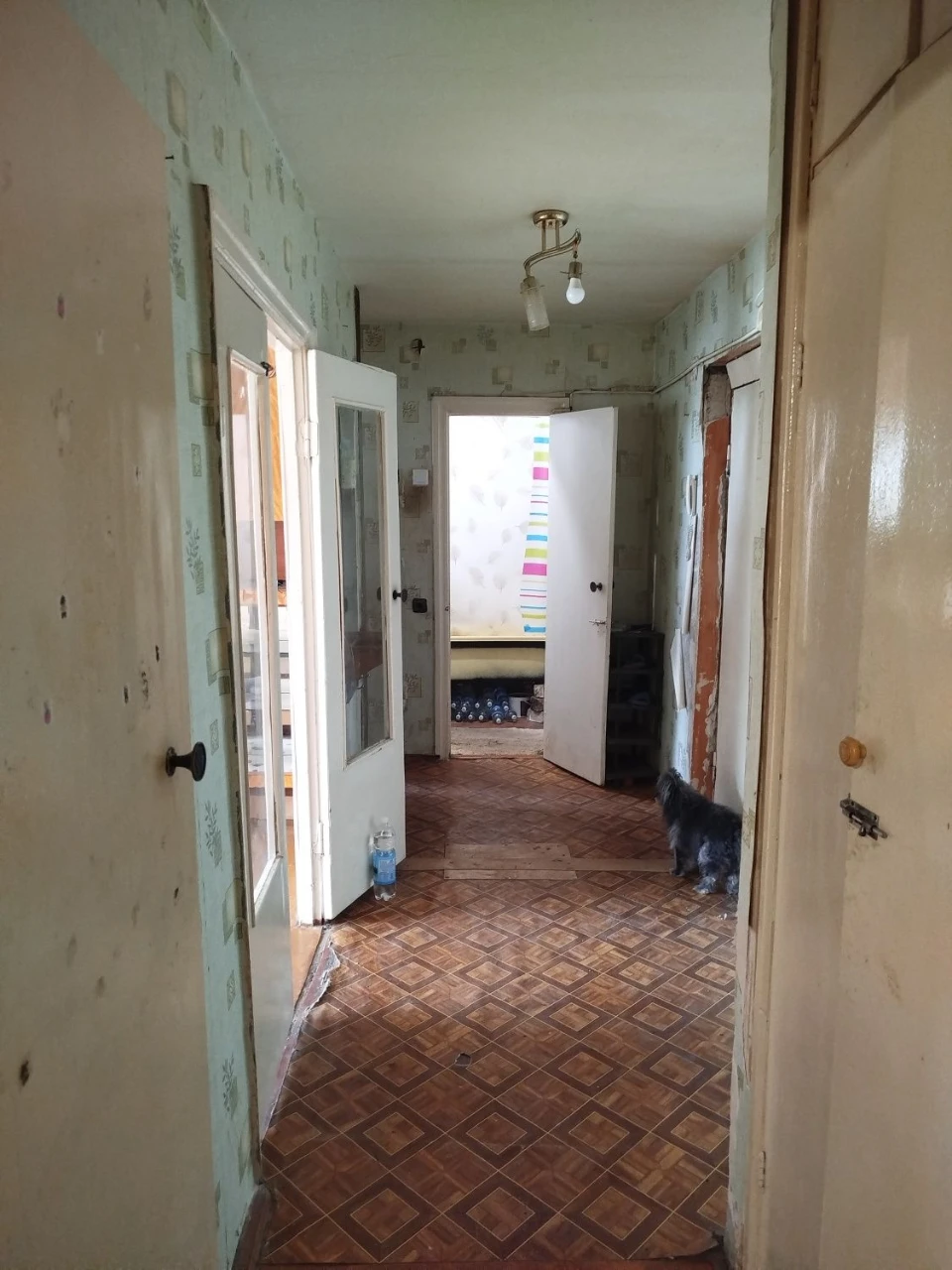 Apartment for sale in Sneligino
