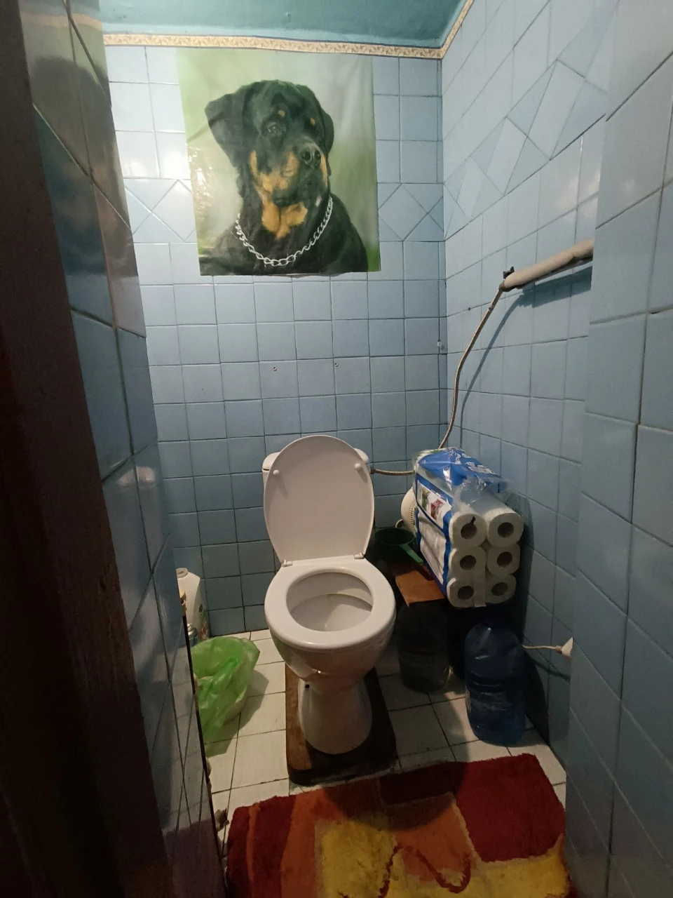 продам будинок в Дніпрі. Сухачівка