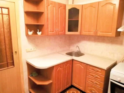 Аренда 1-комнатной квартиры 40 м², Академика Киприанова ул.,