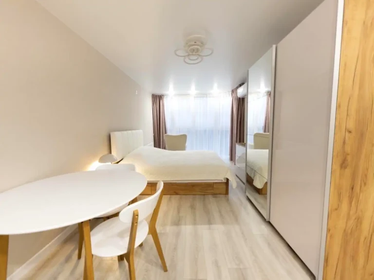Rent 1-bedroom apartment 30 sq.m 27/27 floor